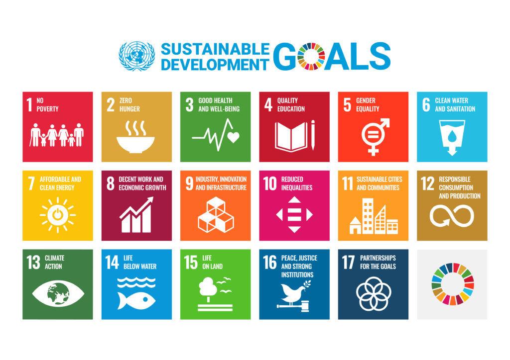 The UN Sustainable Development Goals