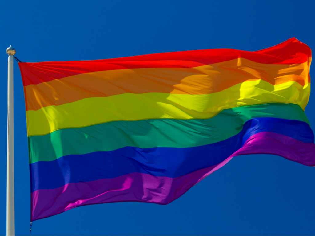 The original rainbow flag. Picture: Petr Kratochvil